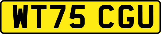 WT75CGU