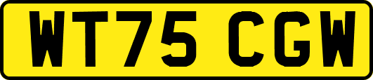 WT75CGW
