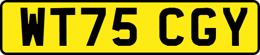 WT75CGY