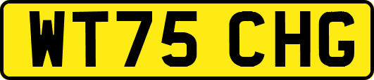 WT75CHG