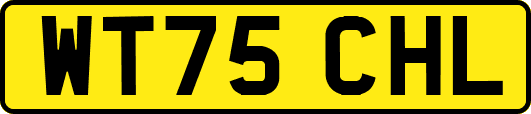 WT75CHL