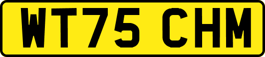 WT75CHM
