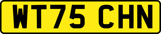 WT75CHN