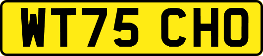 WT75CHO
