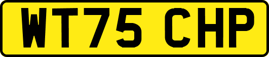 WT75CHP