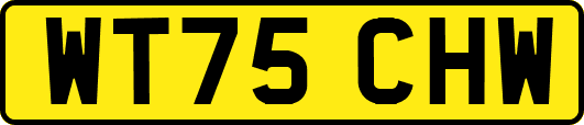 WT75CHW