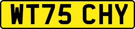 WT75CHY