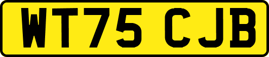 WT75CJB