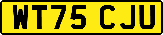 WT75CJU