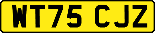 WT75CJZ