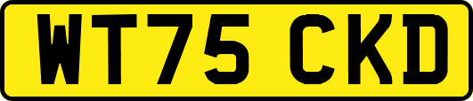 WT75CKD