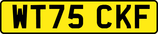 WT75CKF