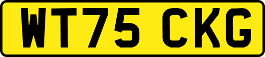 WT75CKG