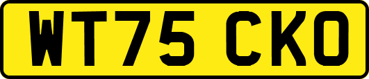 WT75CKO