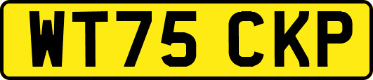 WT75CKP