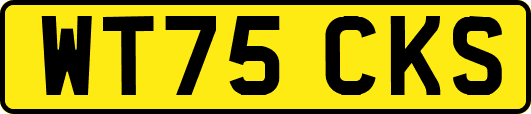 WT75CKS