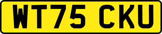 WT75CKU