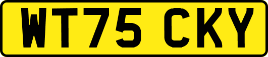 WT75CKY