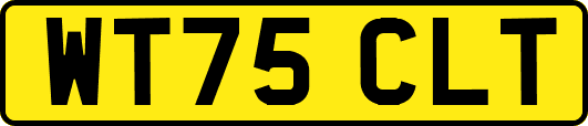 WT75CLT