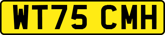 WT75CMH