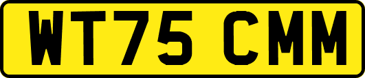 WT75CMM