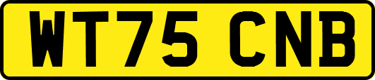 WT75CNB