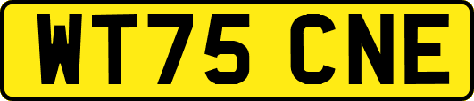 WT75CNE