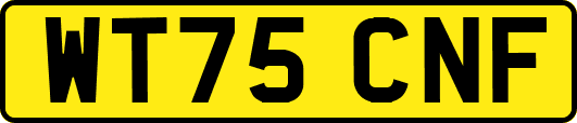 WT75CNF
