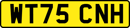 WT75CNH
