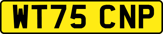 WT75CNP