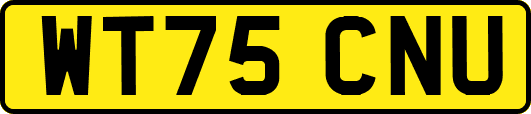 WT75CNU