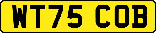 WT75COB