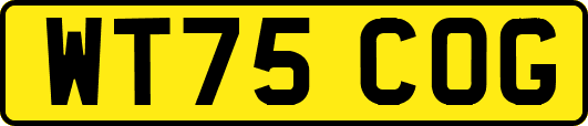 WT75COG