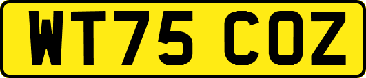 WT75COZ