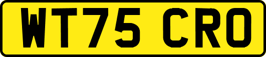 WT75CRO