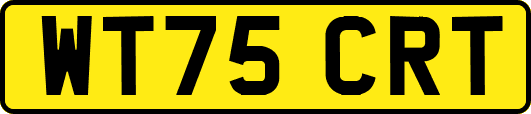 WT75CRT