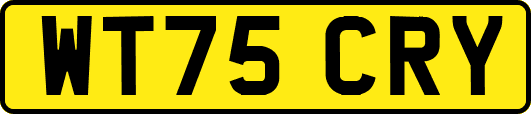 WT75CRY