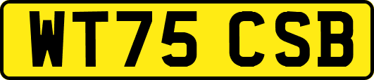 WT75CSB