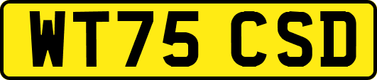 WT75CSD