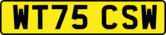 WT75CSW