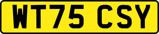 WT75CSY