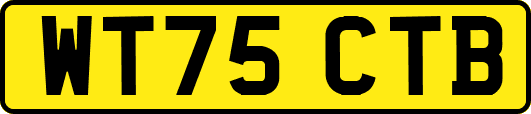 WT75CTB