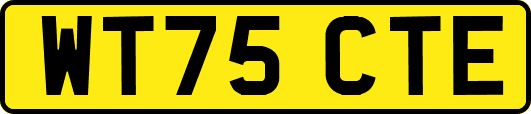 WT75CTE