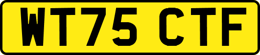 WT75CTF