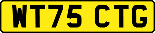 WT75CTG