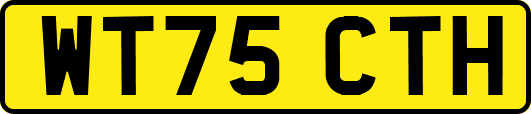 WT75CTH
