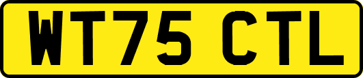 WT75CTL