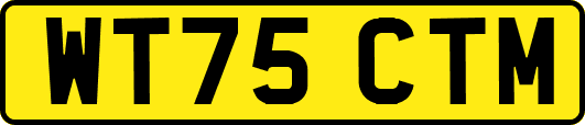WT75CTM