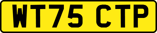 WT75CTP
