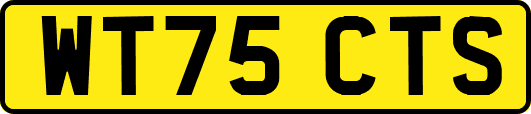 WT75CTS